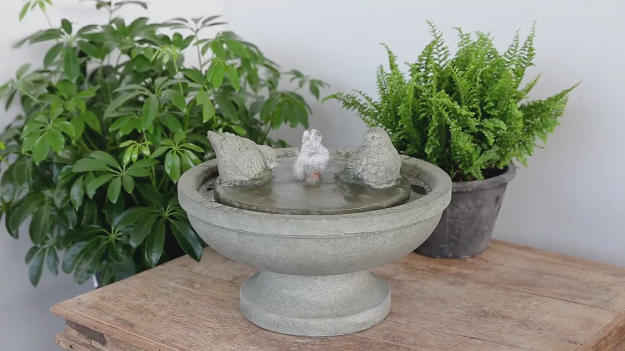 Paradiso Fountain