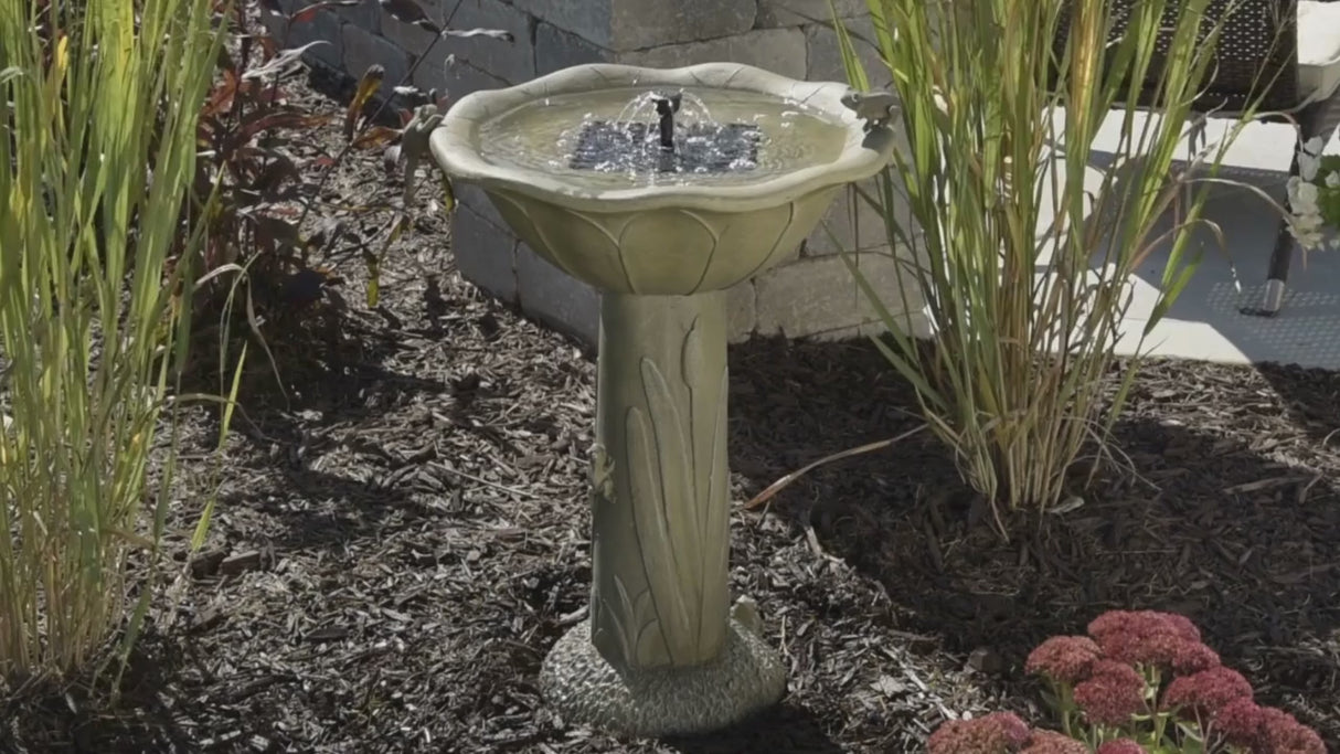 Acadia Solar Birdbath
