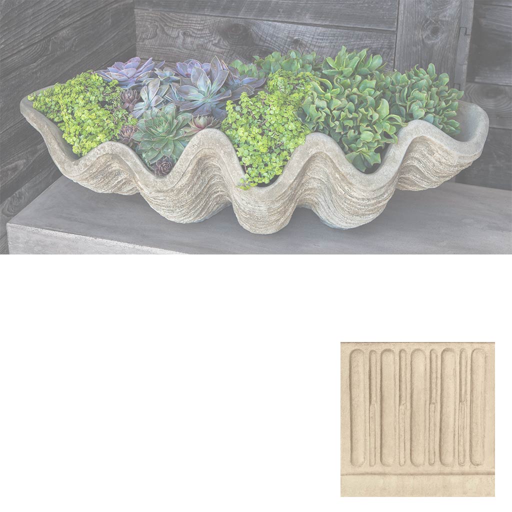 South Seas Shell Planter - Large