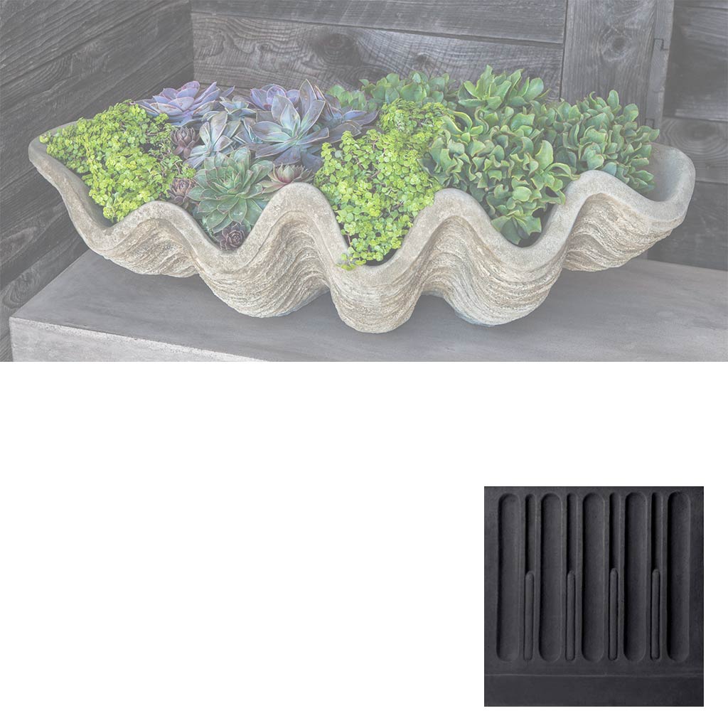 South Seas Shell Planter - Large
